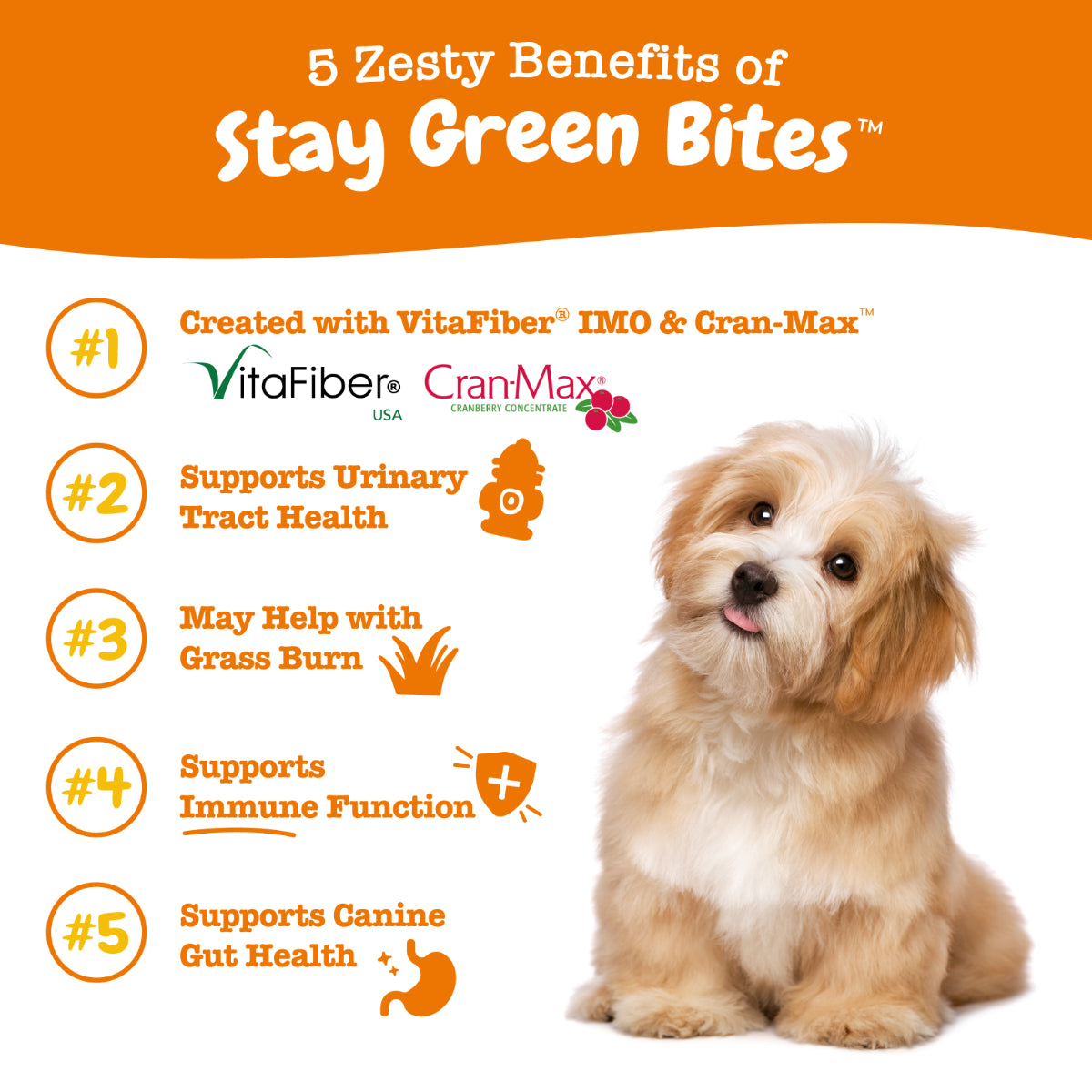 Zesty Paws Stay Green Bites for Dogs