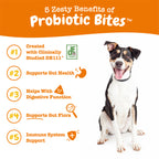 Zesty Paws Probiotic Bites for Dogs