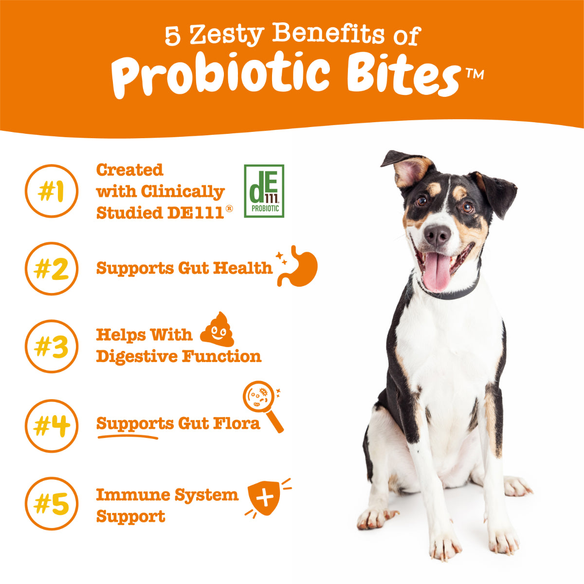 Zesty Paws Probiotic Bites for Dogs