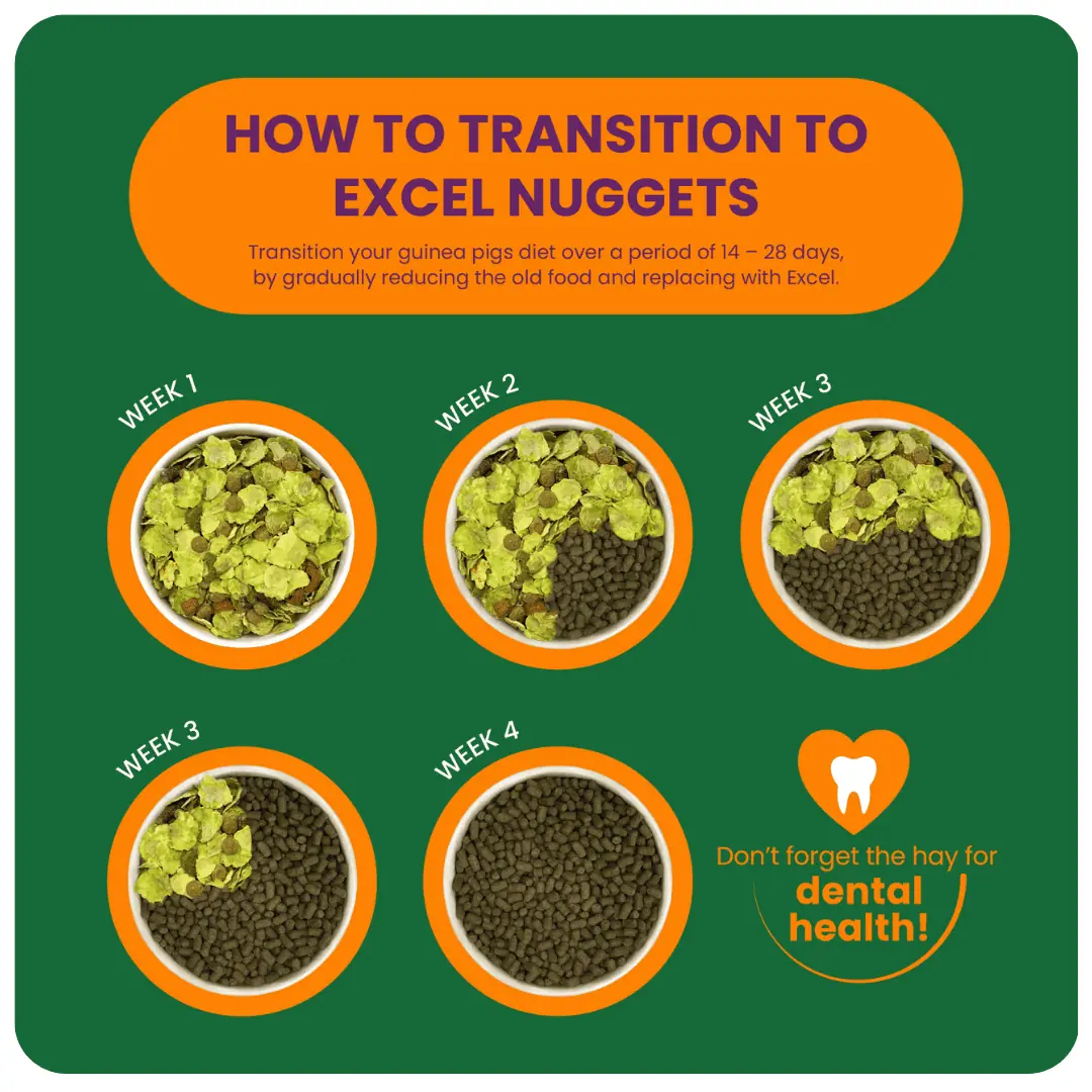Burgess Excel Guinea Pig Nuggets with Blackcurrant & Oregano