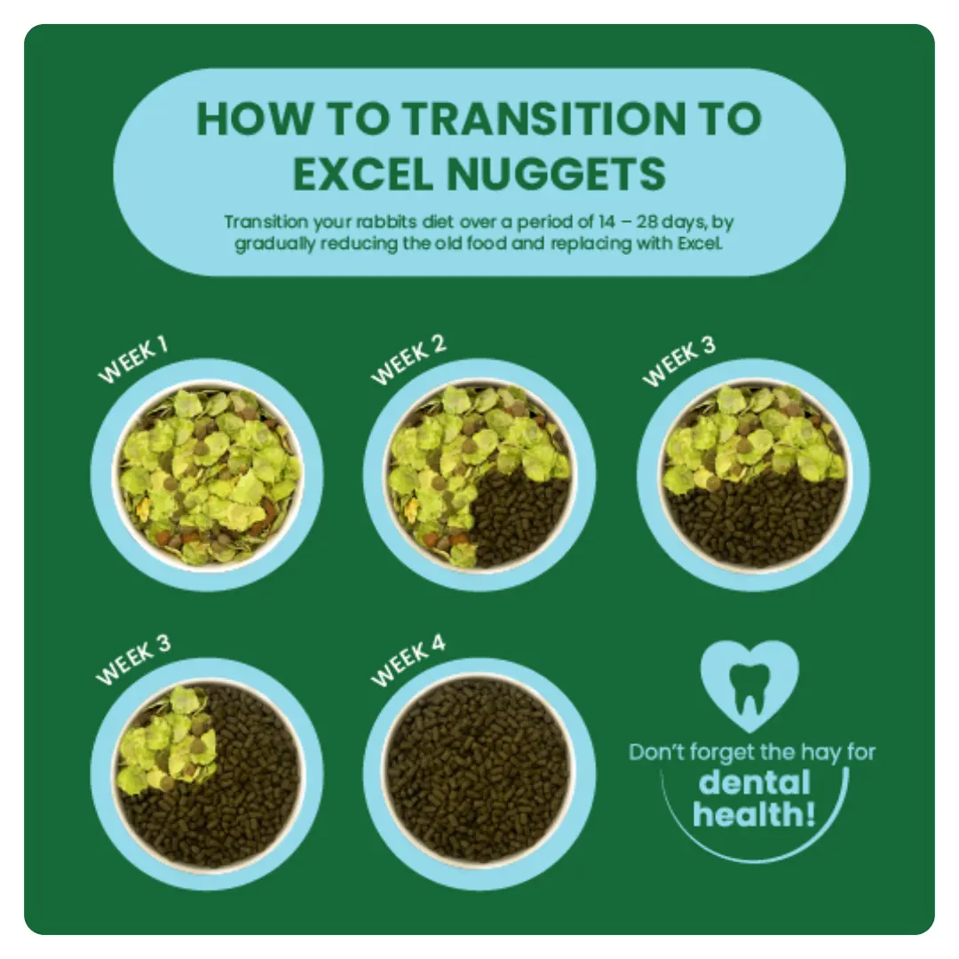 Burgess Excel Junior & Dwarf Rabbit Nuggets with Mint