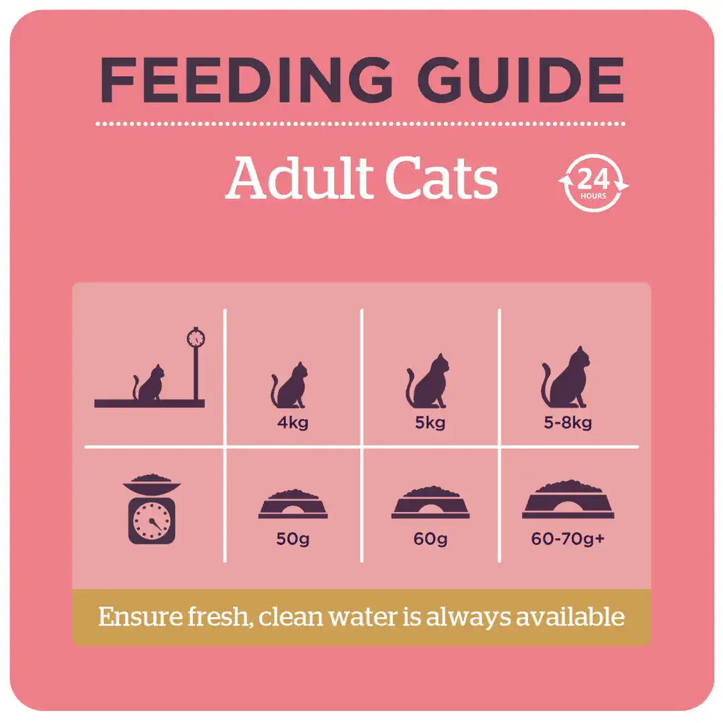 Burgess Adult Cat Food Rich in Chicken with Duck