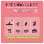 Burgess Adult Cat Food Rich in Chicken with Duck