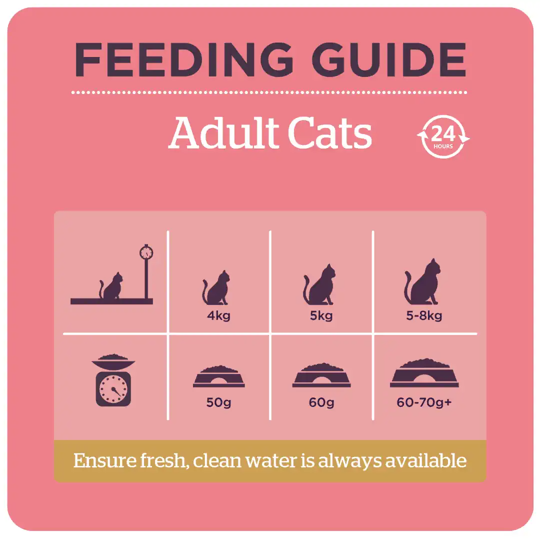 Burgess Adult Cat Food Rich in Chicken with Duck