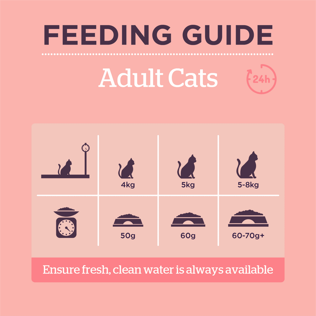 Burgess Adult Cat Food Rich in Salmon