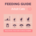 Burgess Adult Cat Food Rich in Salmon