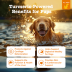 Zesty Paws Turmeric Curcumin Bites for Dogs