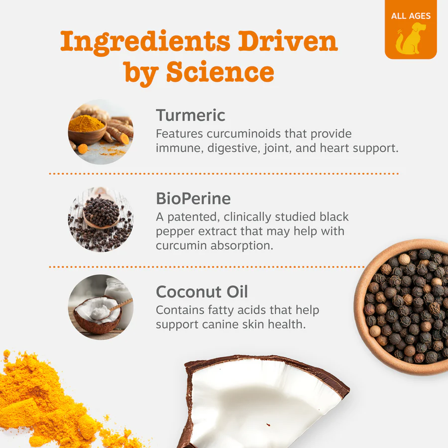 Zesty Paws Turmeric Curcumin Bites for Dogs