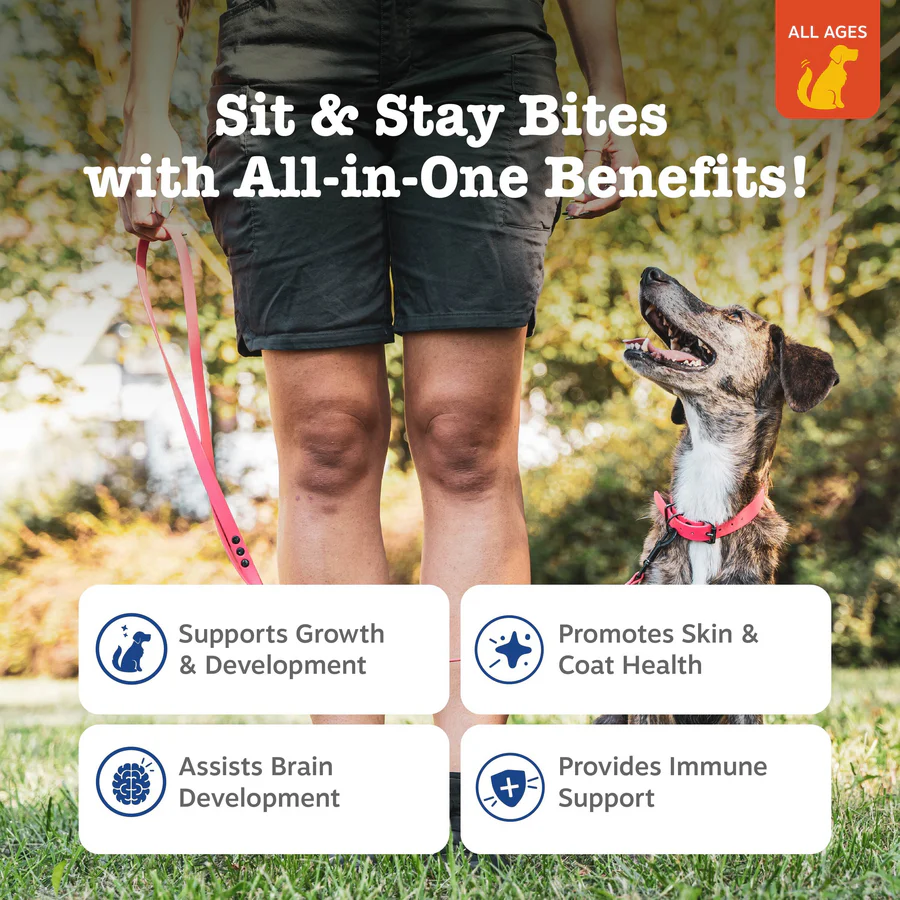 Zesty Paws All-in-One Training Bites for Dog