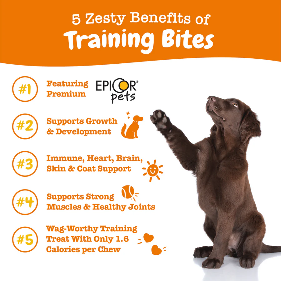 Zesty Paws All-in-One Training Bites for Dog