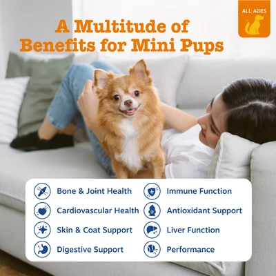 Zesty Paws 8-in-1 Multivitamin Mini Bites for Small Dogs