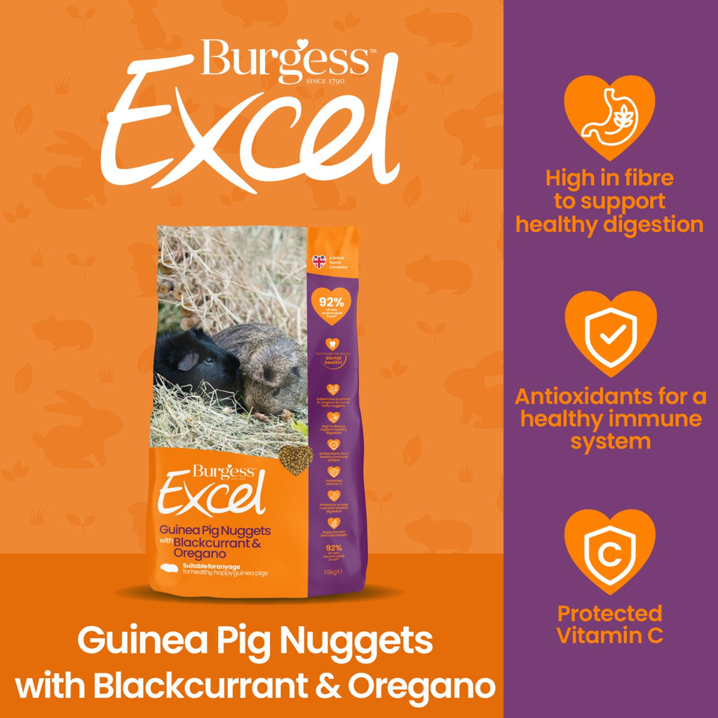 Burgess Excel Guinea Pig Nuggets with Blackcurrant & Oregano