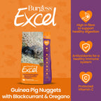 Burgess Excel Guinea Pig Nuggets with Blackcurrant & Oregano