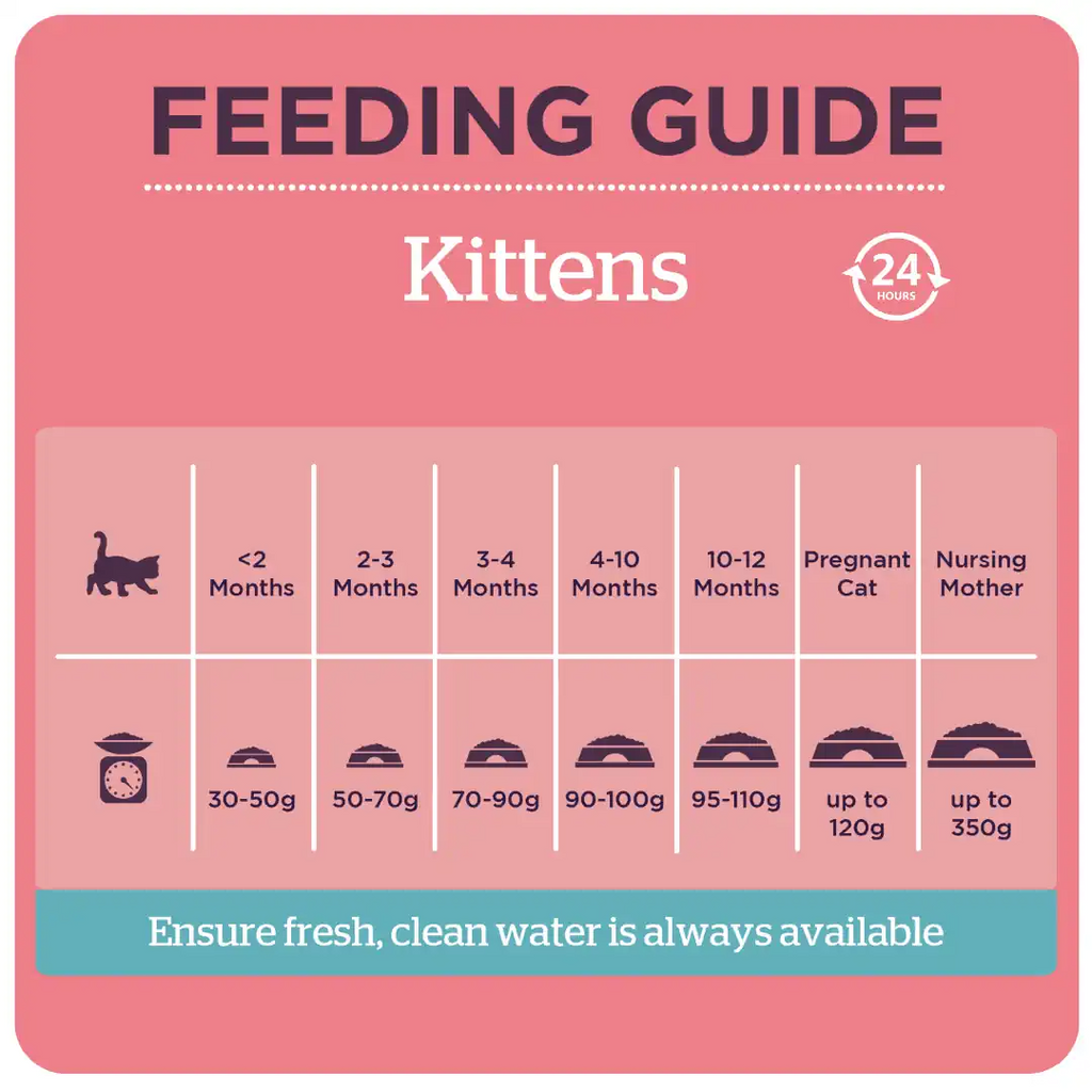 Burgess Kitten Food With Chicken