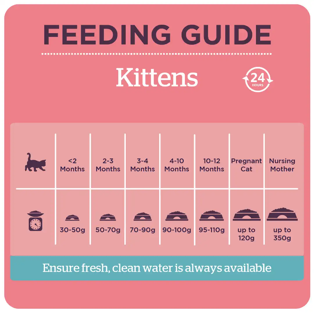 Burgess Kitten Food With Chicken