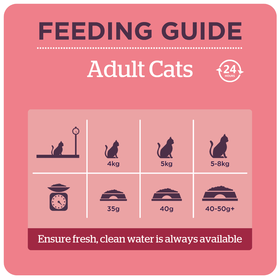 Burgess Mature Cat Food with Turkey & Cranberry