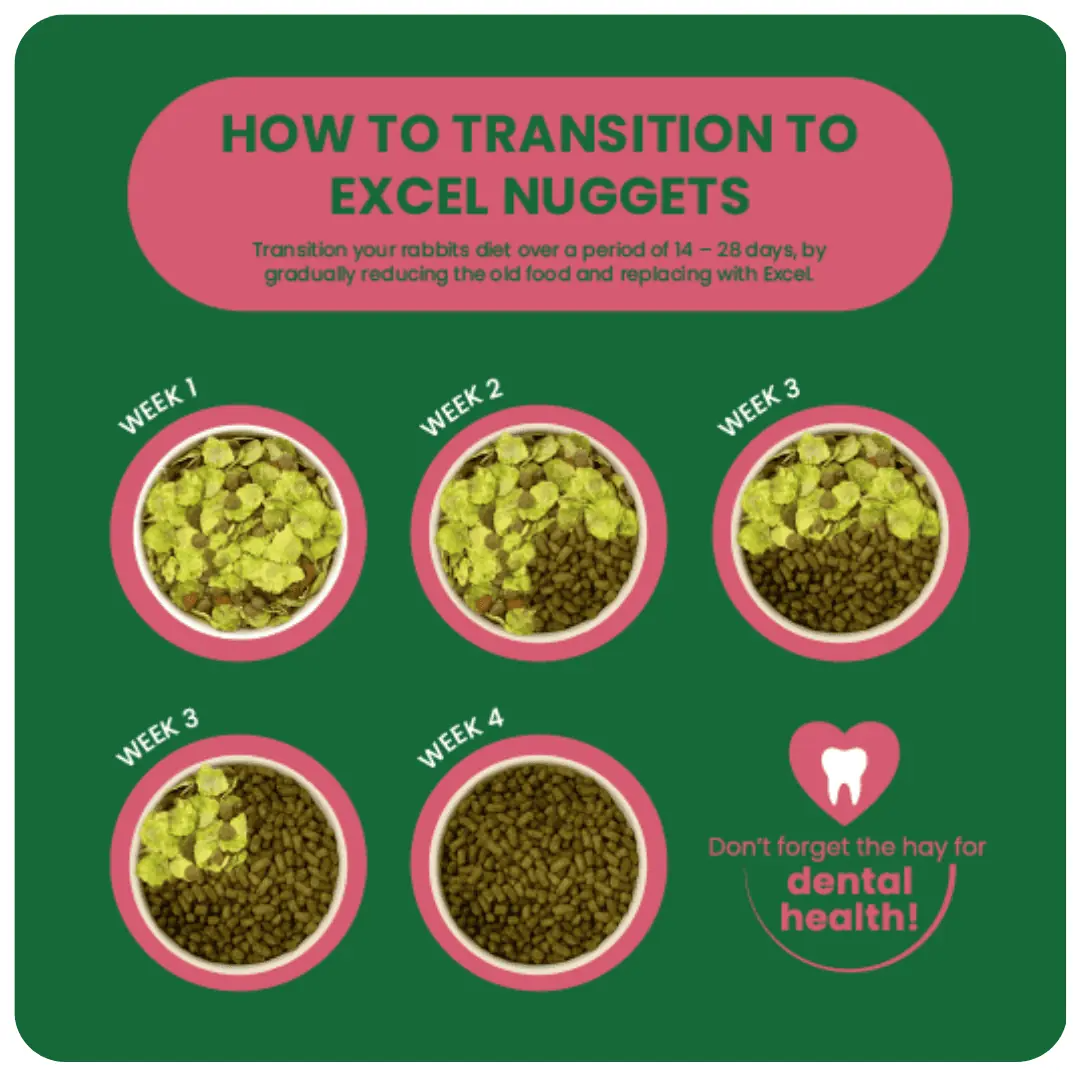 Burgess Excel Mature Rabbit Nuggets