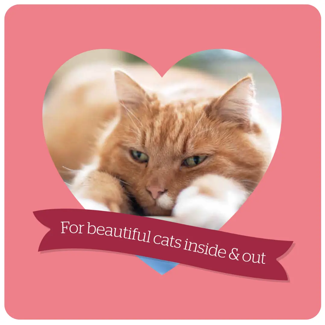 Burgess Mature Cat Food with Turkey & Cranberry