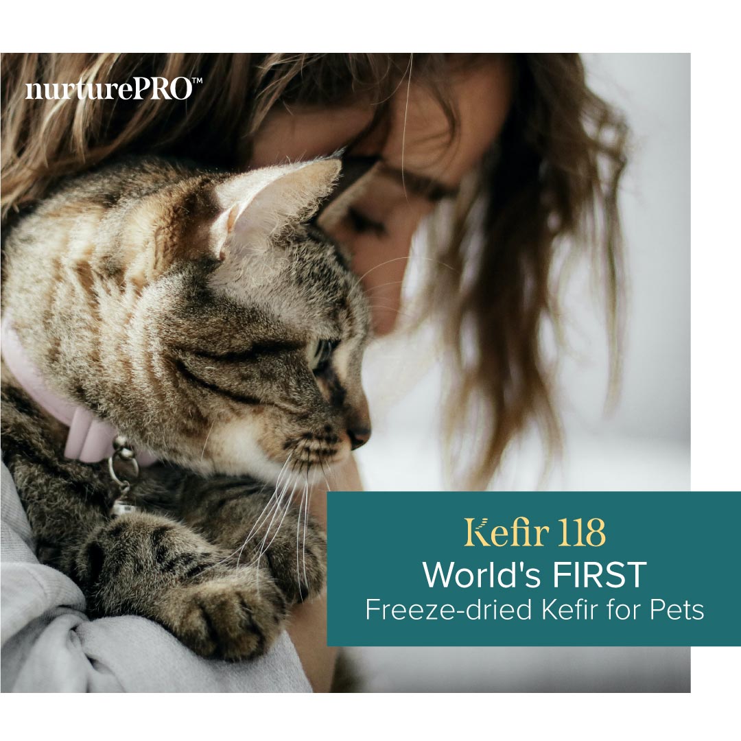 nurturepro™ Kefir 118 Freeze-dried Powder Dog & Cat Supplements