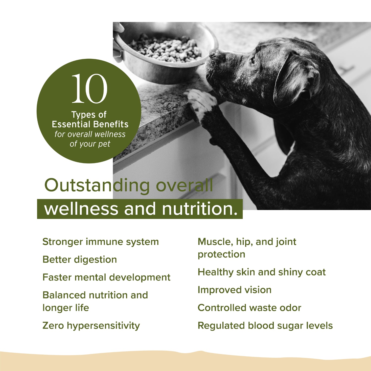 NurturePRO Single Source Protein Dry Dog Food