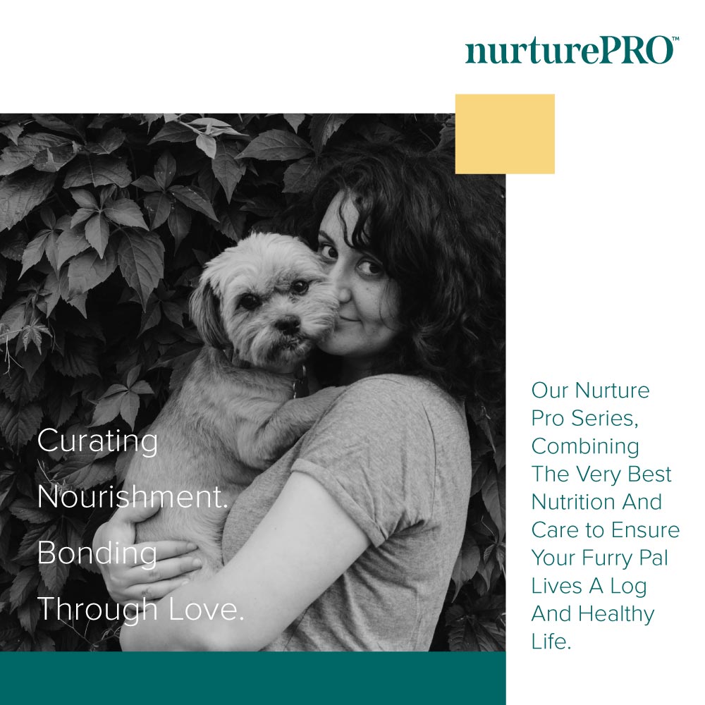 NurturePRO Nourish Life Slow Cooked Dry Cat Food