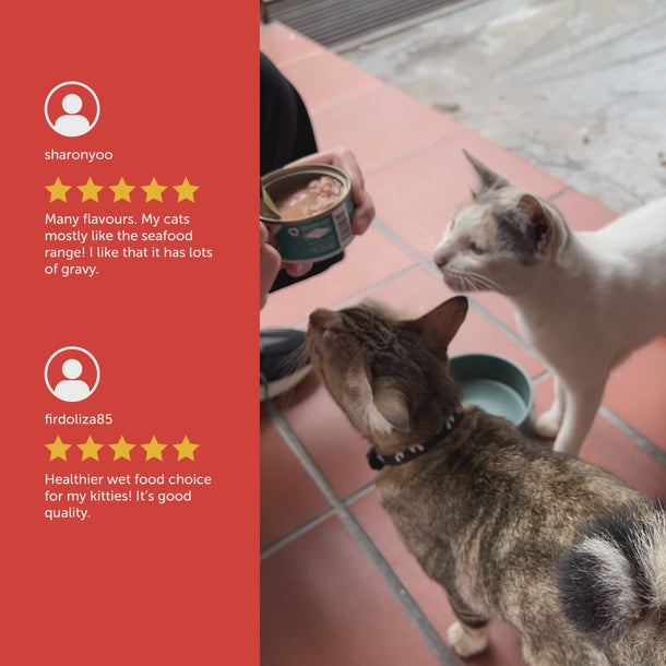 Loveabowl Grain Free Cat Wet Food 70g Can Available in 7 Flavors Good quality and best wet food choice for kitties