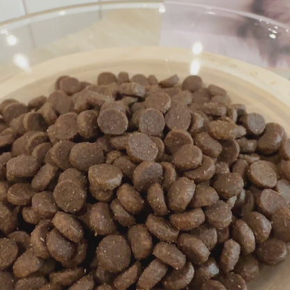 Top Ration Premium Cat Dry Food 1.8kg