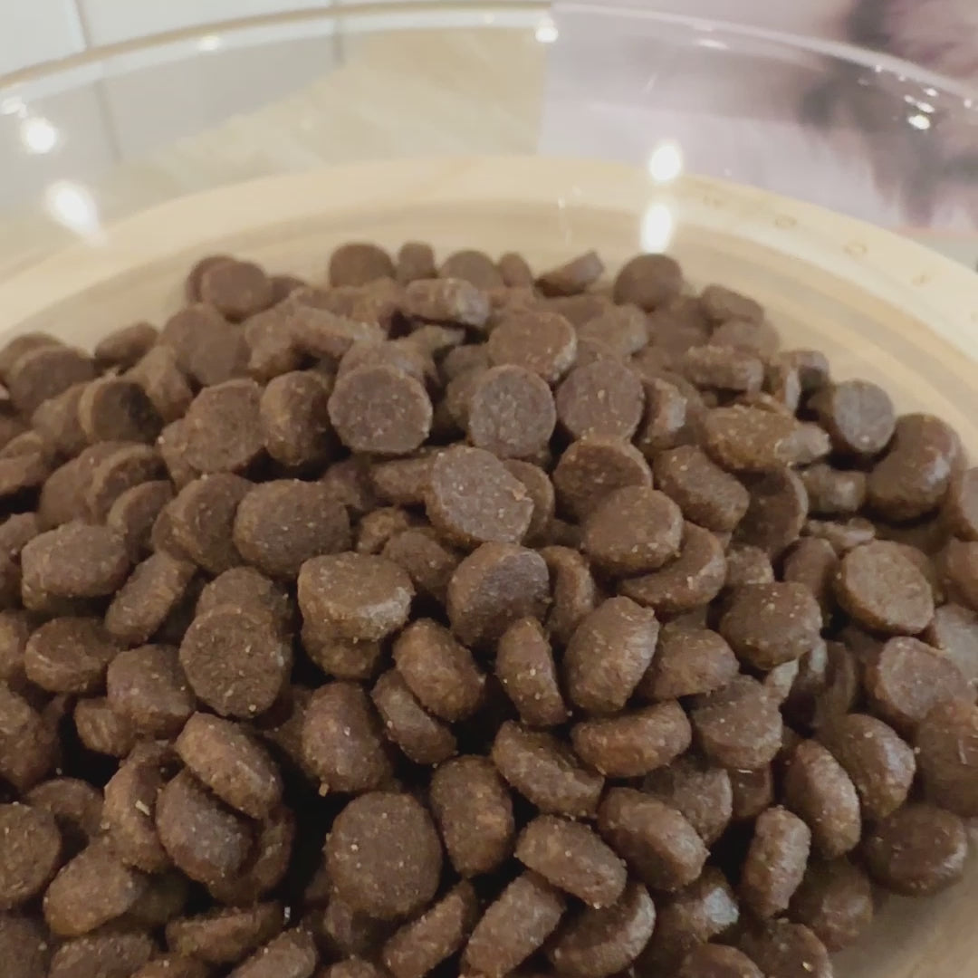 Top Ration Grow-up Kitty Premium Dry Cat Food