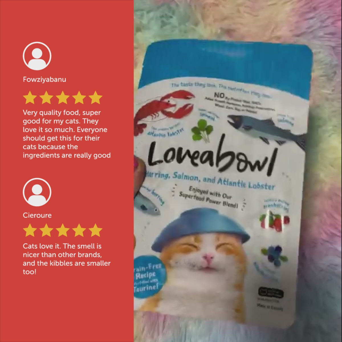 Loveabowl Grain Free Dry Cat Food